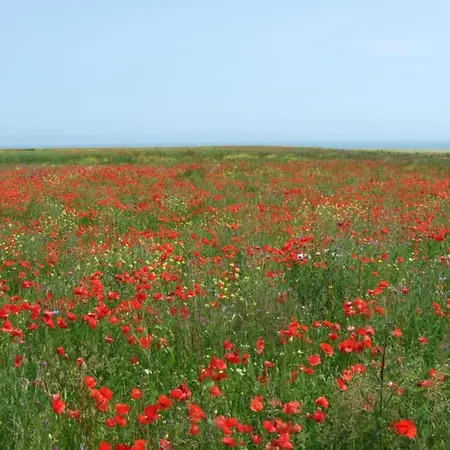 Casa vacanze Holiday Home Near Bayeux And North Sea Beach, Cleaning Included